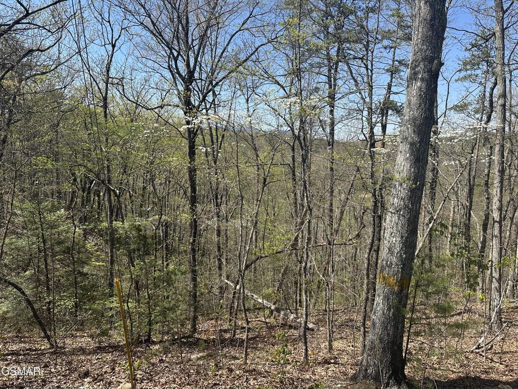 1532 Mountain Dreams Way, Pigeon Forge