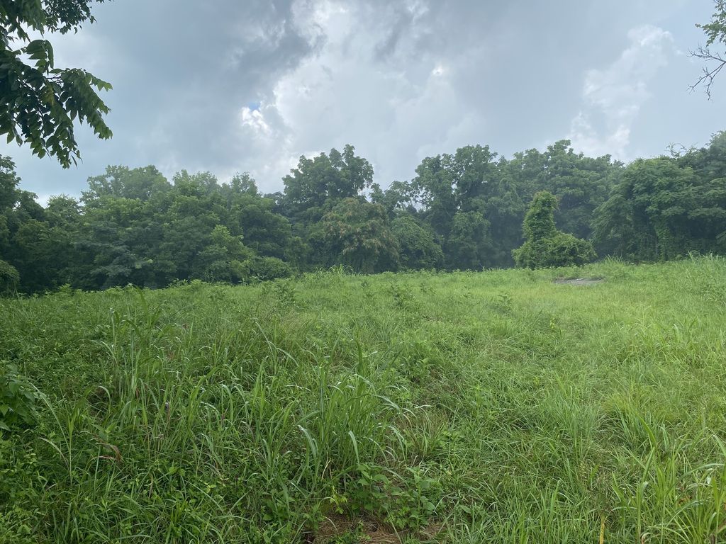 0 Johnson Road, Pulaski