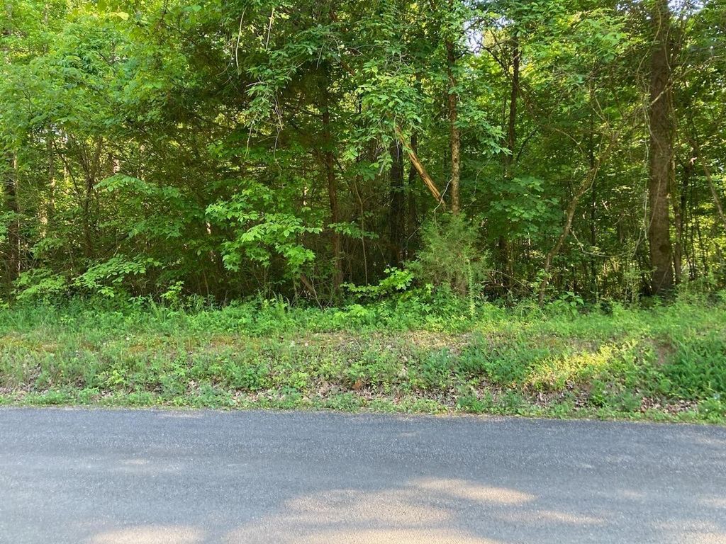 0 Horner Hollow Road, Birchwood