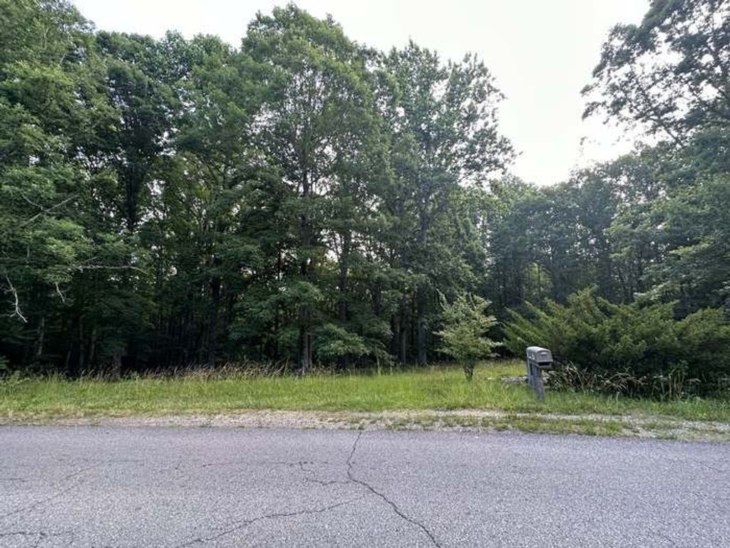 1251 Mount Pleasant Rd, Kingston Springs