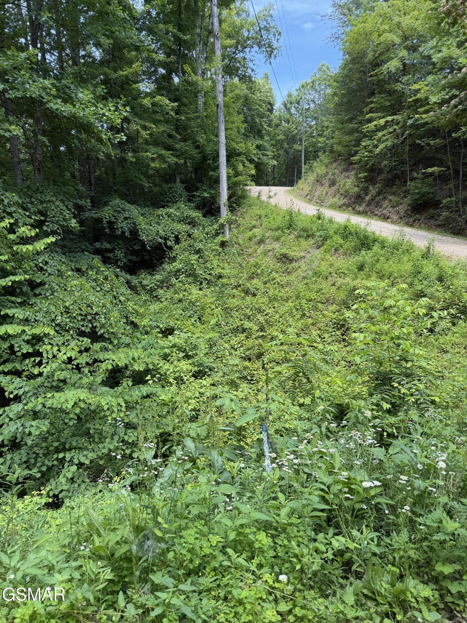 Photo of Listing #3270035