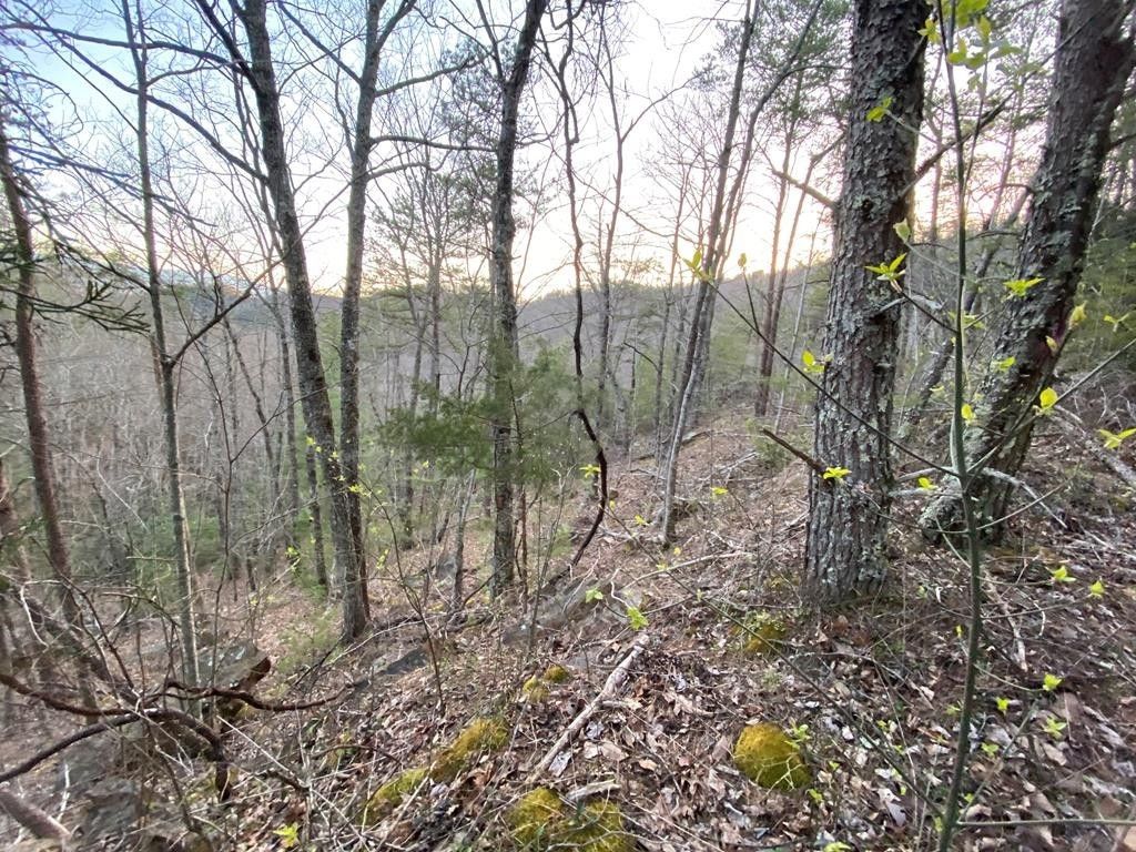 46 Beechwood Street, Sevierville