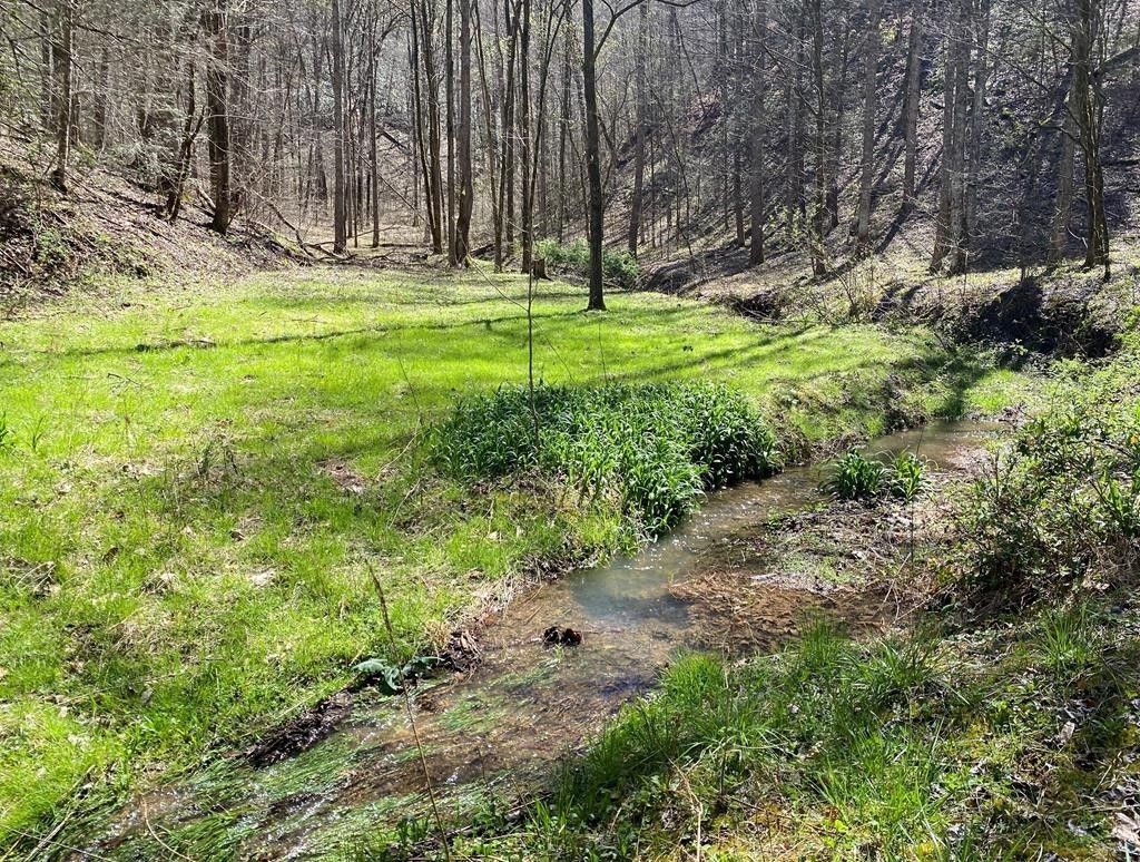 0 Valley Springs Way, Sevierville