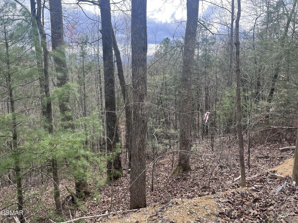 5554 71 Yellowwood Drive, Sevierville