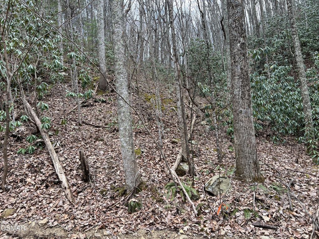 10 John Sevier Drive, Sevierville