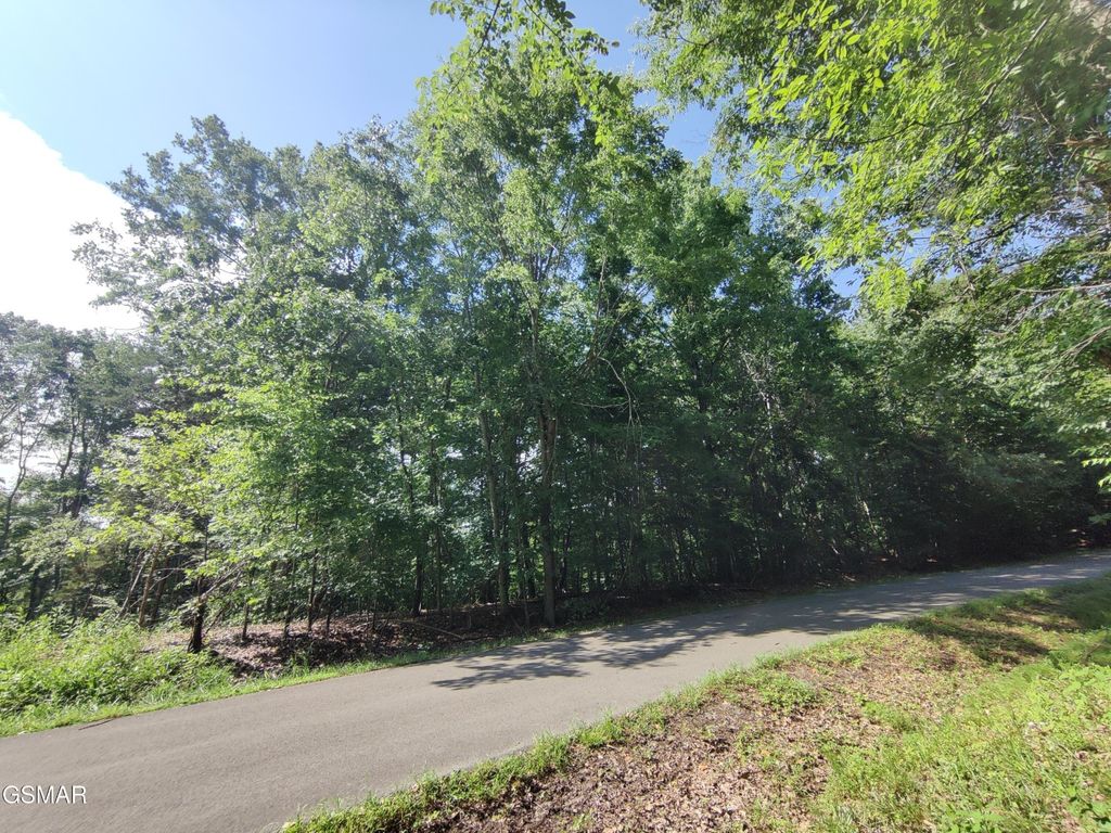 3347 Mountain View Lane, Baneberry