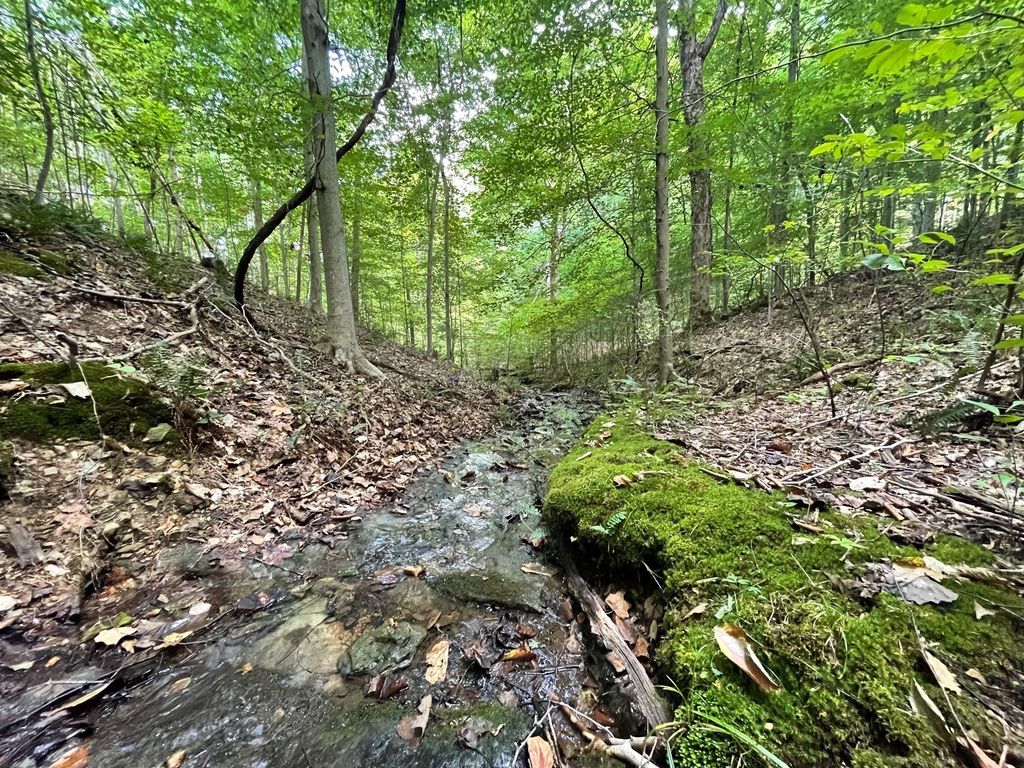 0 Mcclanahan Rd, Hampshire