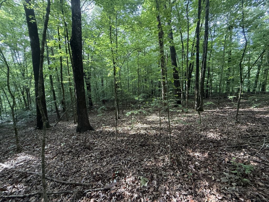 0 Caney Creek Rd, Stewart
