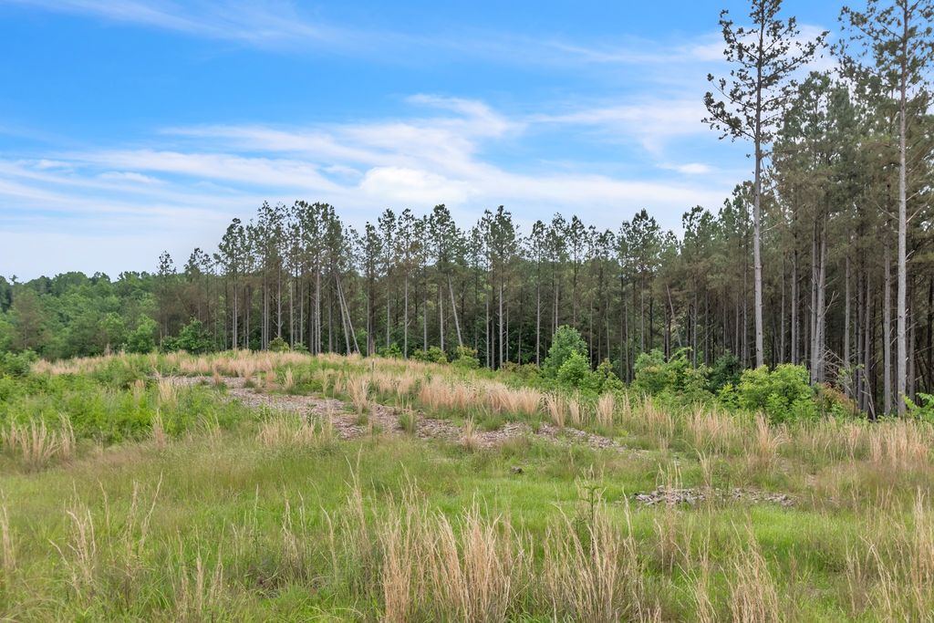 178 Sagebrush Way, Dover