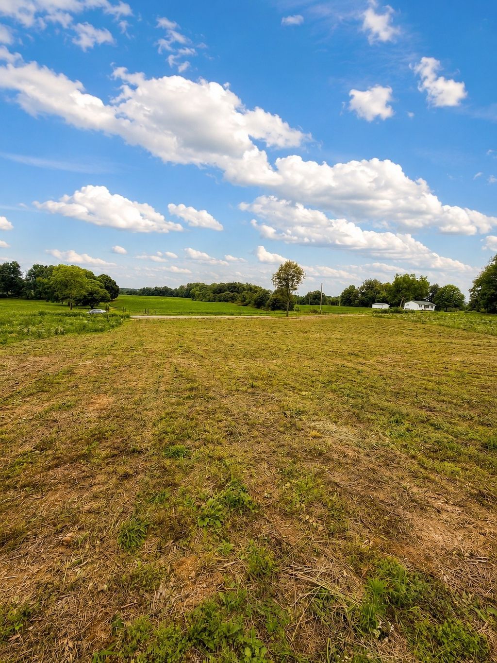 520 Ferrell Rd, Smithville