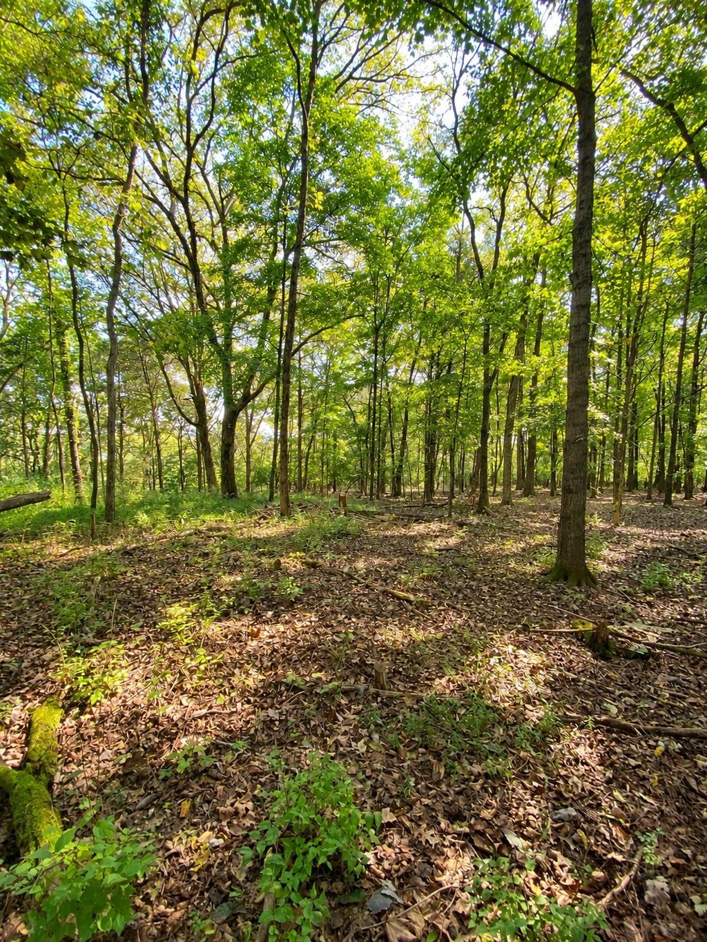 0 Pawnee Trail, Madison