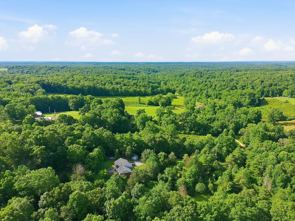0 Alex Goines Rd, Lyles