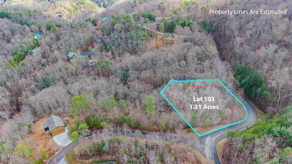 123 Long Rifle Road, Sevierville