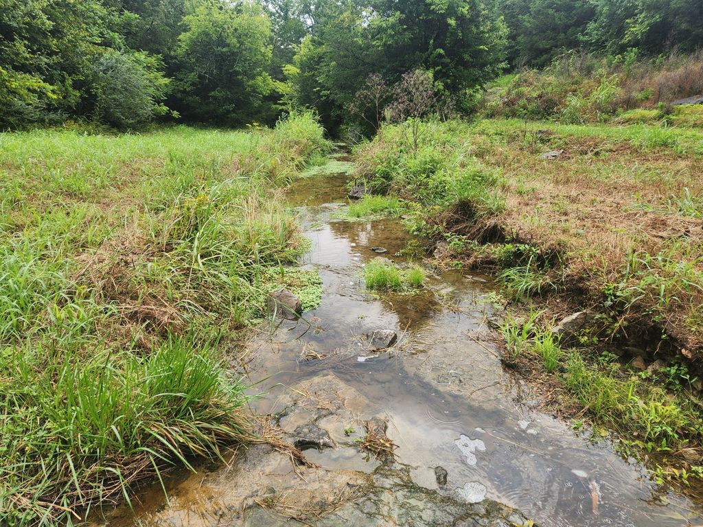 0 Tolbert Hollow Rd, Bradyville