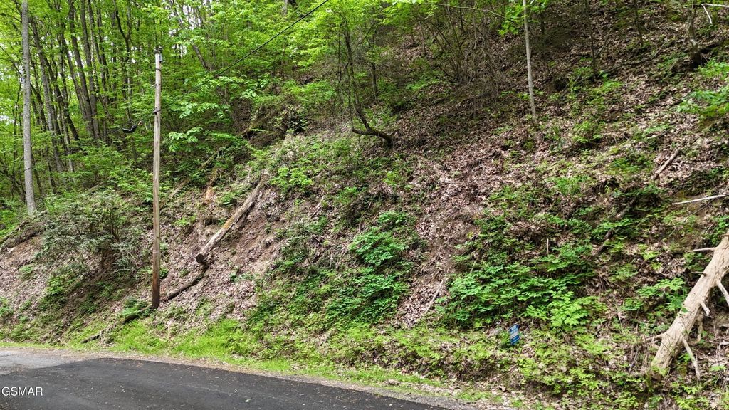 27 Black Walnut Flats Road, Sevierville