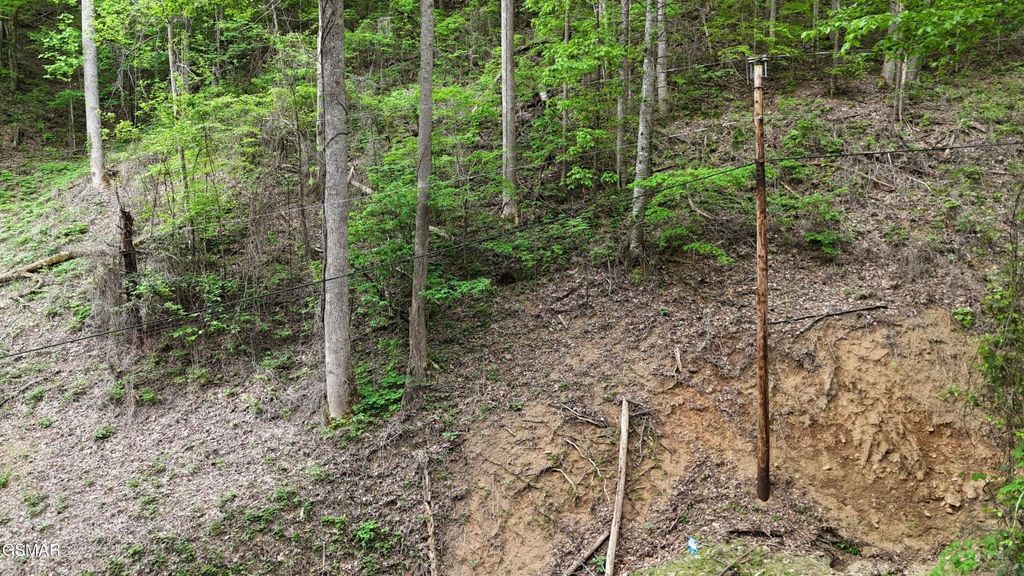 33 Black Walnut Flats Road, Sevierville