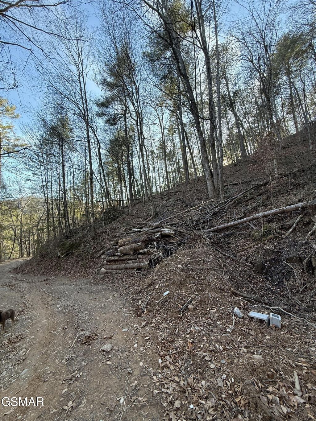 20 Meadow View Road, Sevierville
