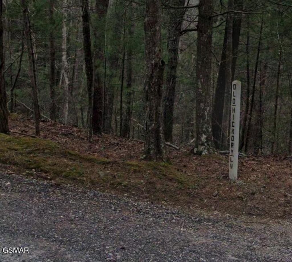 0 Old Hickory Road, Tellico Plains
