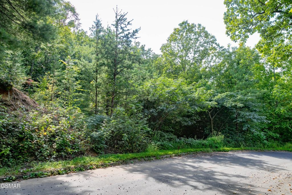 13 Lexy Lane, Sevierville