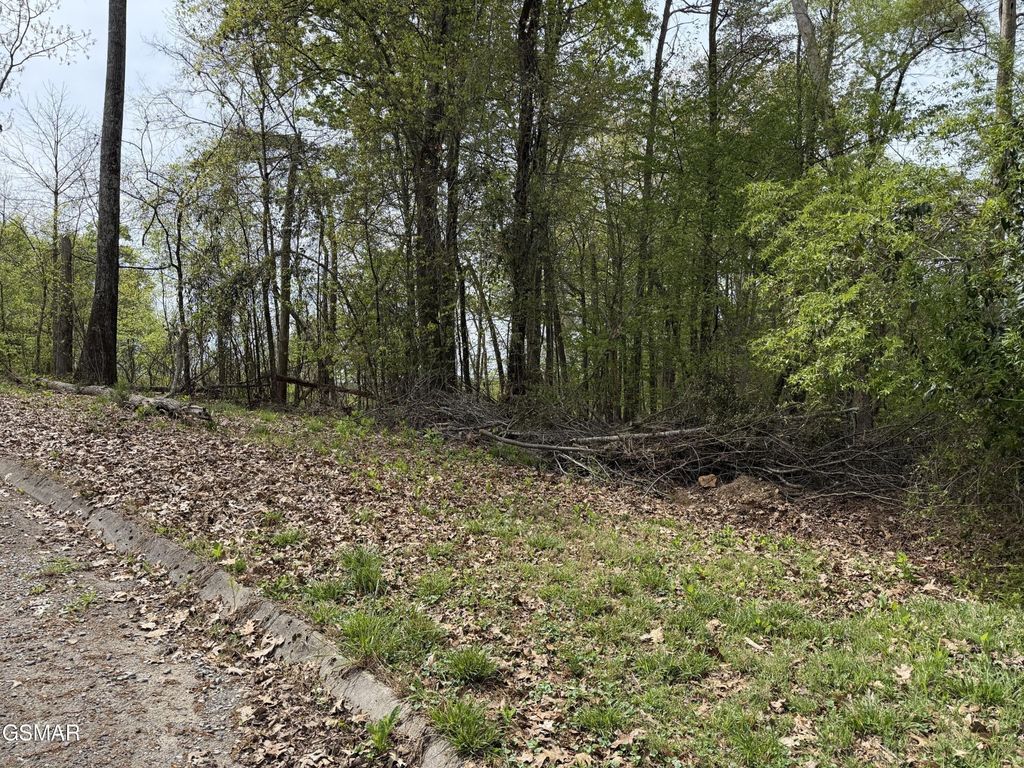 6 John Spears Way, Sevierville