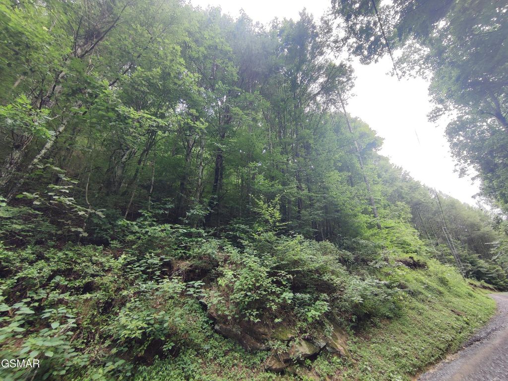 0 Old Hag Hollow Way, Sevierville