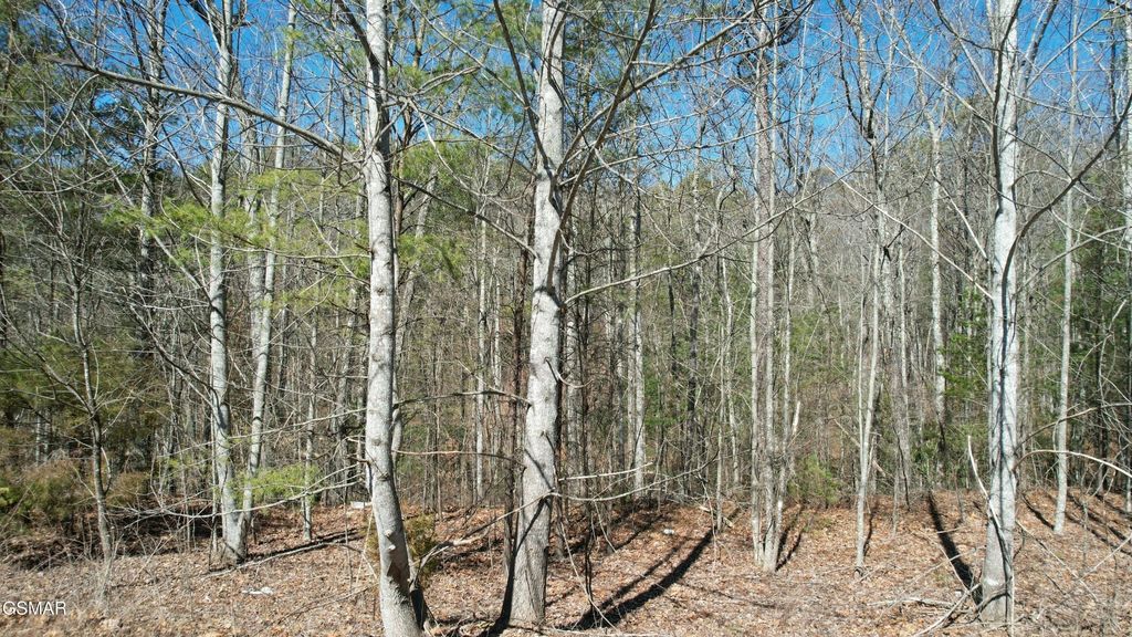 442 Hawken Drive, Walland