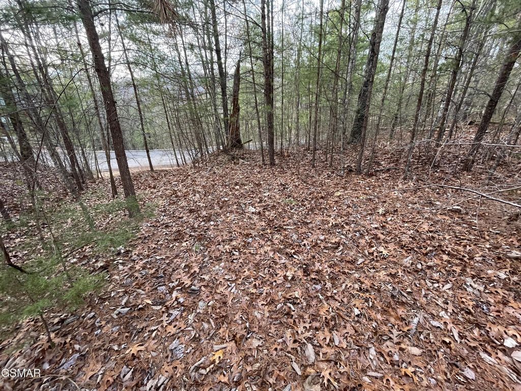 79 Whetstone Road, Sevierville