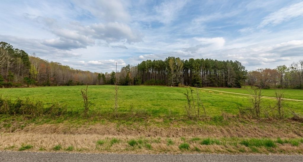 339 Idlewild Hollyleaf Rd, Milan