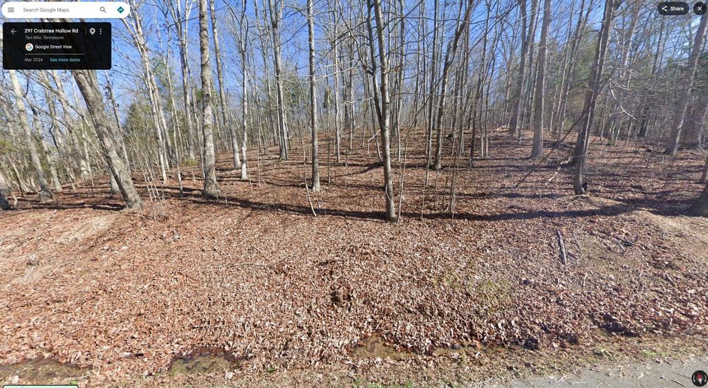 297 Crabtree Hollow Rd, Ten Mile