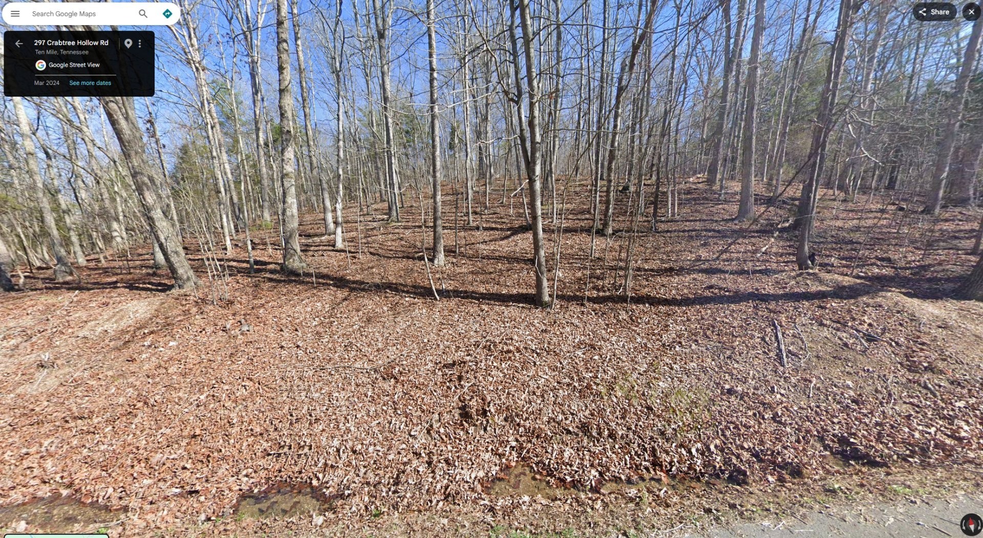 Photo of Listing #3285673