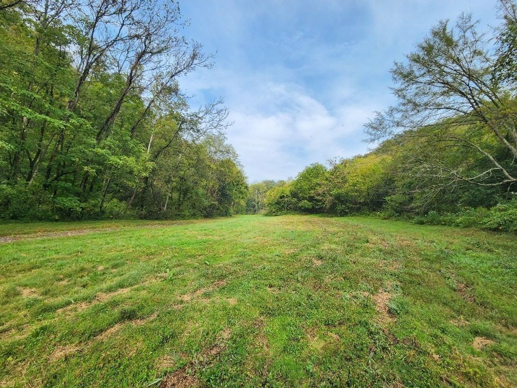 0 Webster Branch Ln, Whitleyville