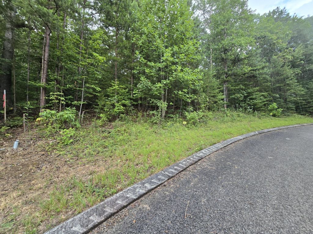 155 Lower Brow Road, Dunlap