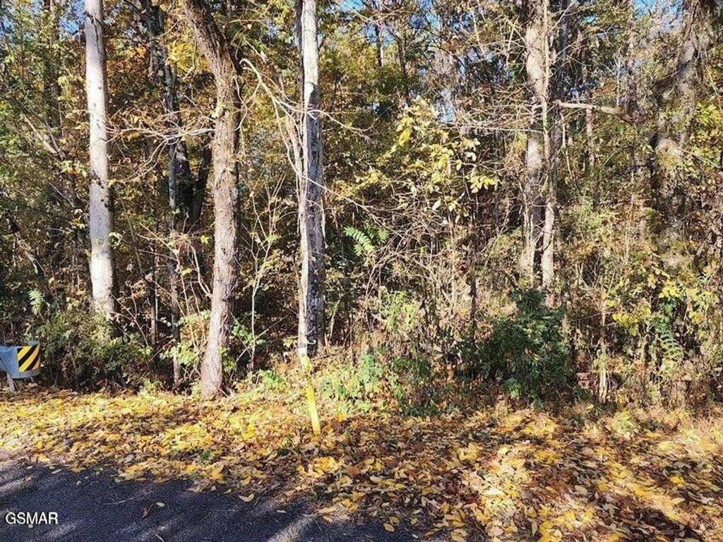 0 Briggs Road, Dandridge