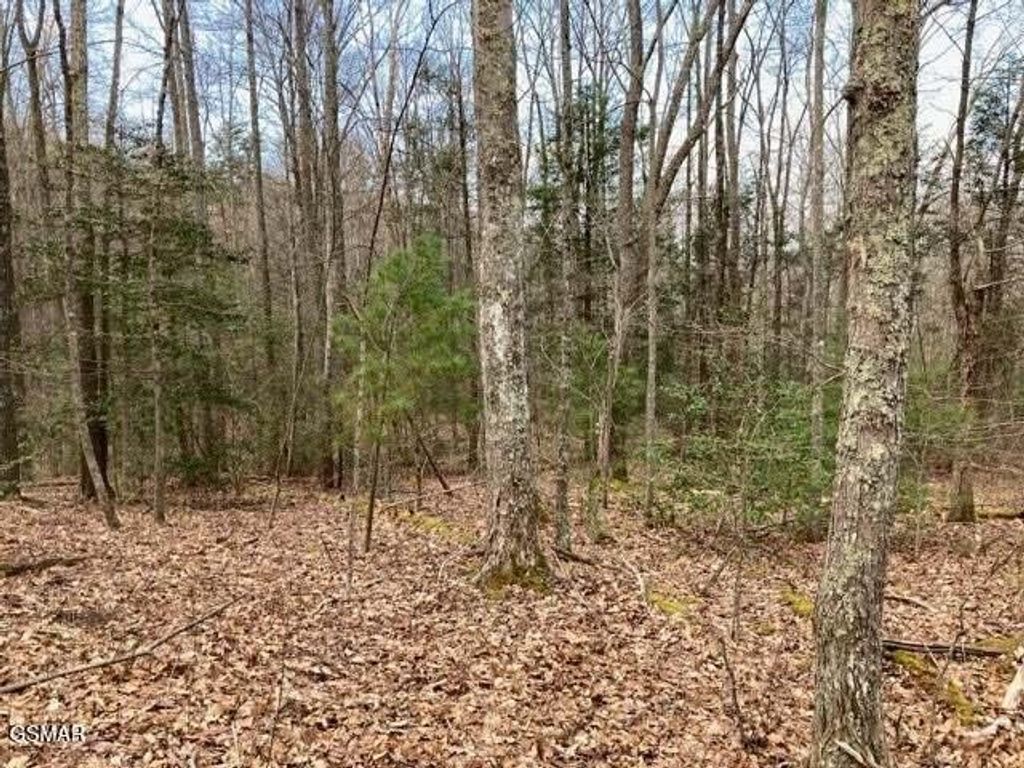0 Dockery Branch Road, Sevierville