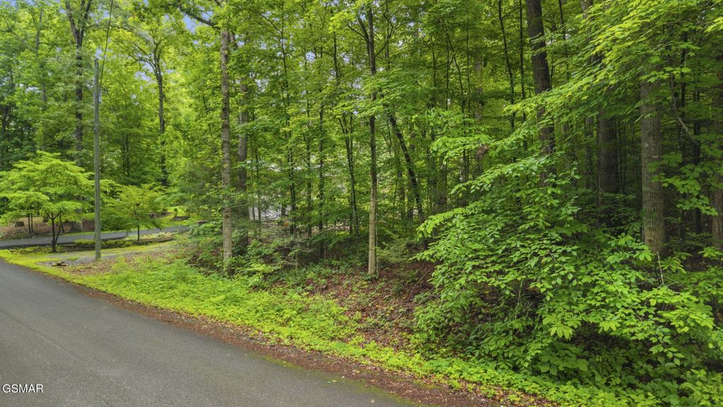 0 Peach Tree Street, Sevierville