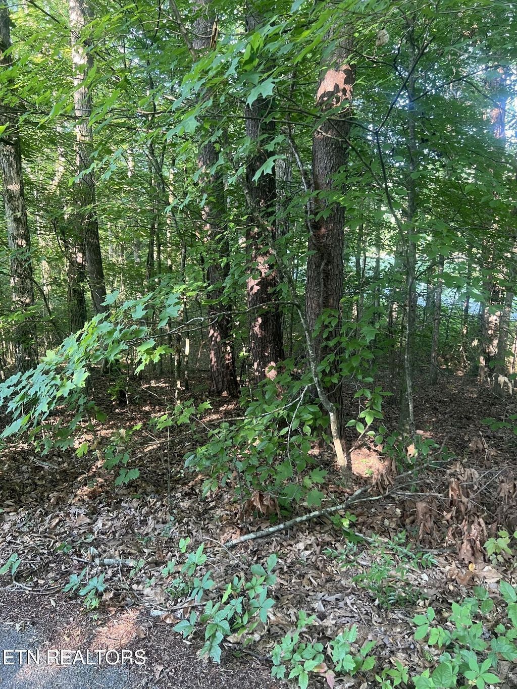 12308 Yarnell Rd, Knoxville