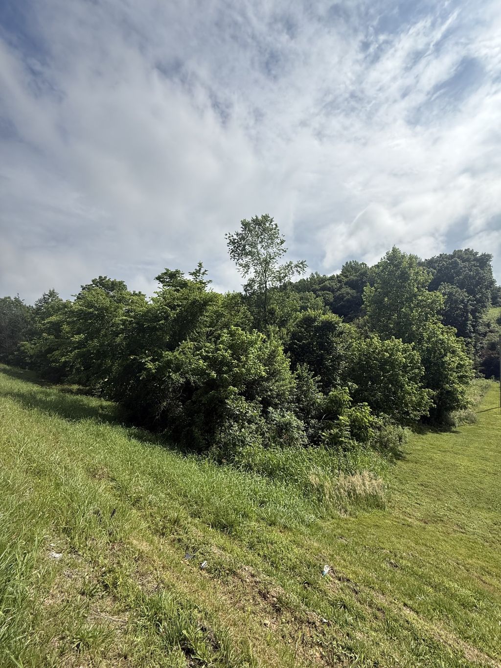 0 Highway 31 E, Westmoreland