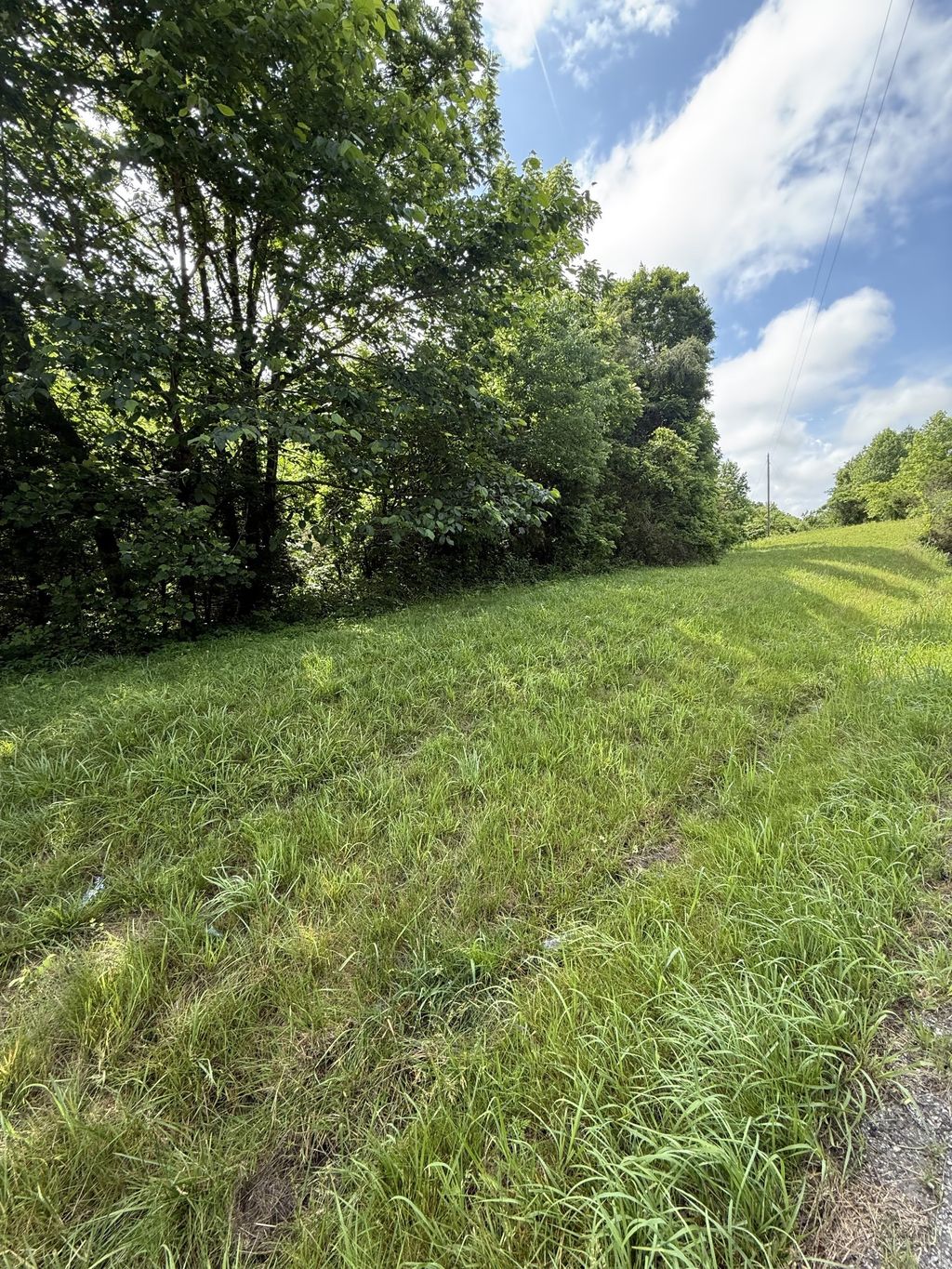 0 Highway 31 E, Westmoreland