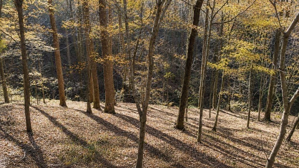 0 Lake View Dr, Smithville
