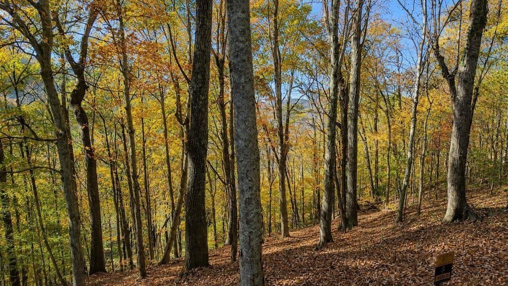 Photo of Listing #3298061
