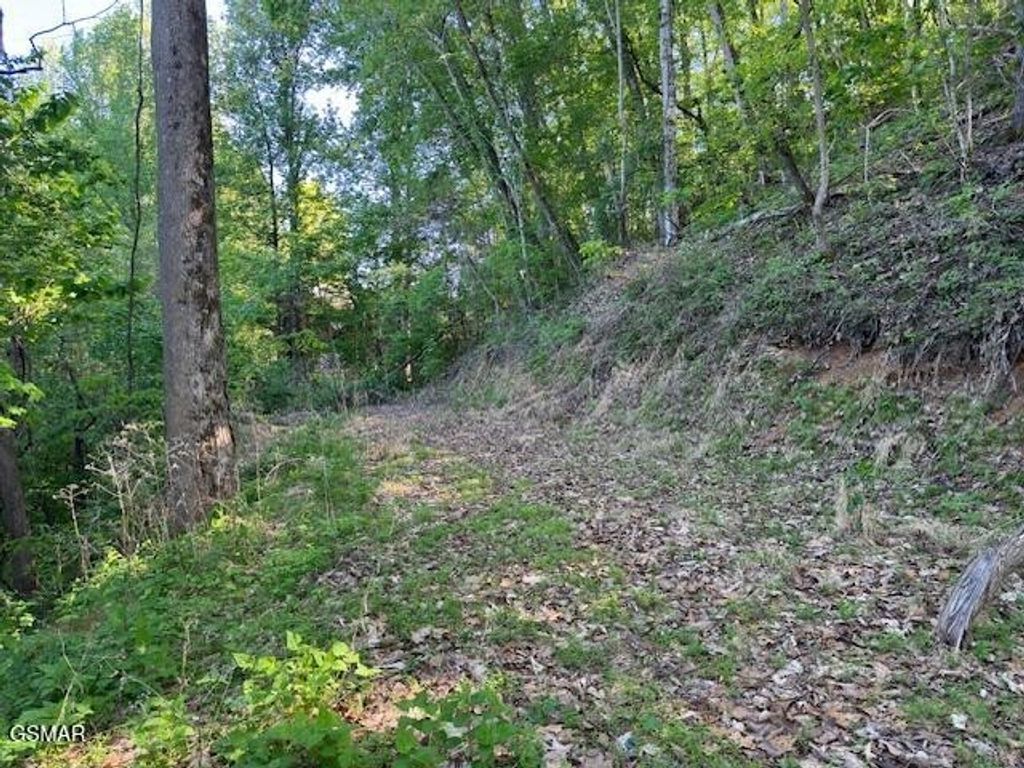 13 Dove View Road, Sevierville