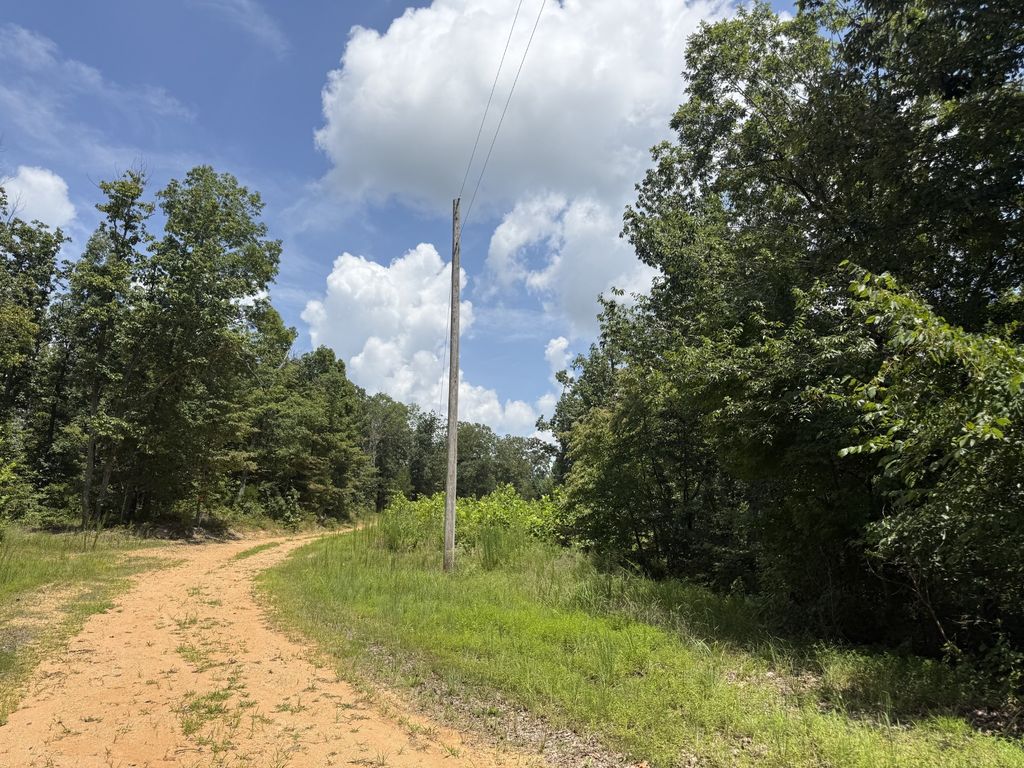 0 Petty Drive, Linden