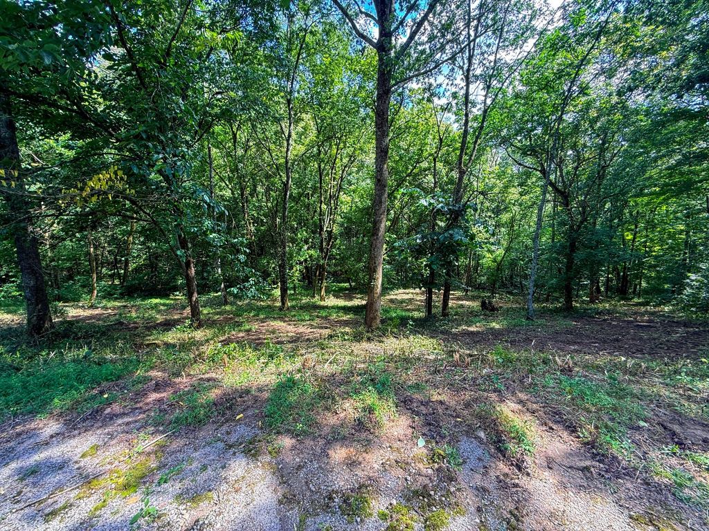 0 Savannah Dr, Smithville