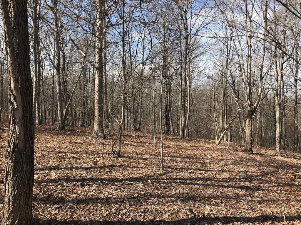 504 Wilderness Way, Dunlap