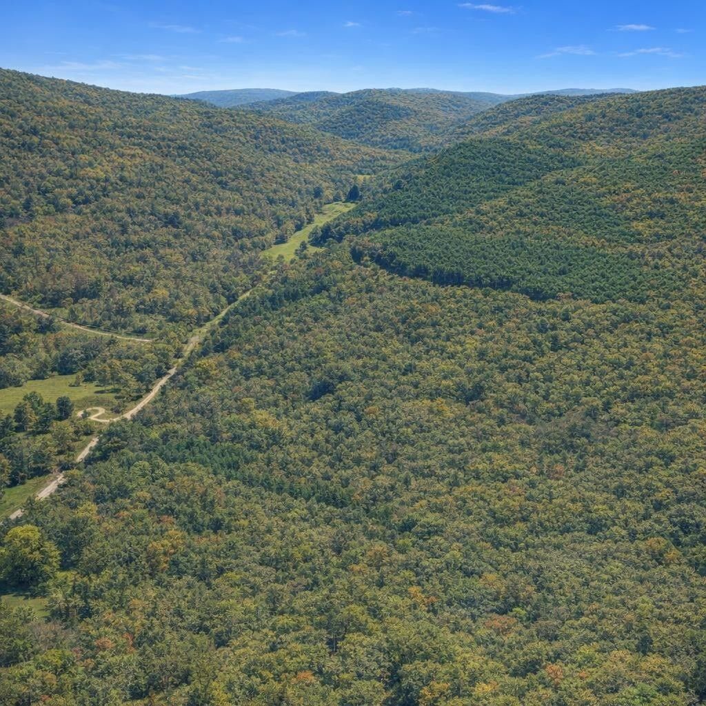 0 Brush Creek Rd, Lawrenceburg