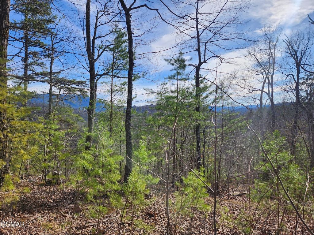 46 Feld Wynde Close Way, Sevierville