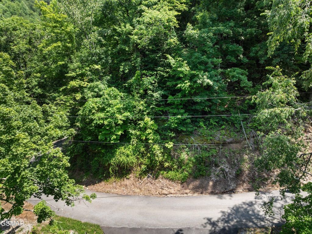 6 Wildcat Ridge Road, Sevierville
