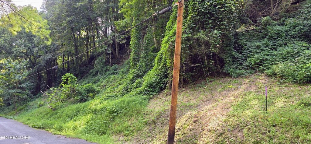 39 Black Walnut Flats Rd, Sevierville