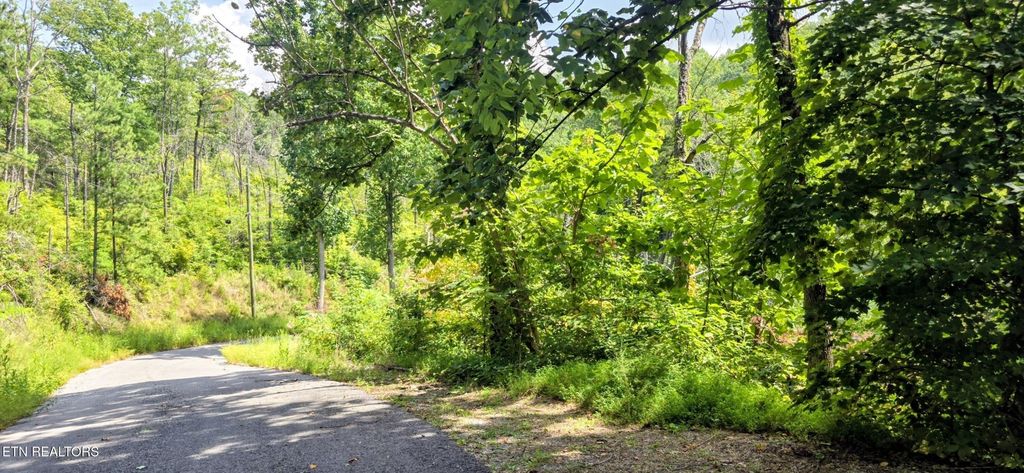 14 Sugar Maple Loop Rd, Sevierville