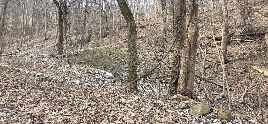 4 Balsam Slopes Rd, Sevierville